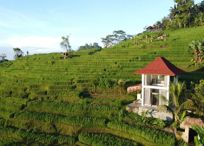 Natural View Sidemen Villas & Cottages By Supala * Karangasem