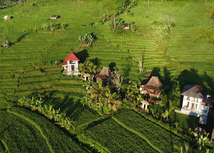 リゾート Natural View Sidemen Villas & Cottages By Supala Karangasem